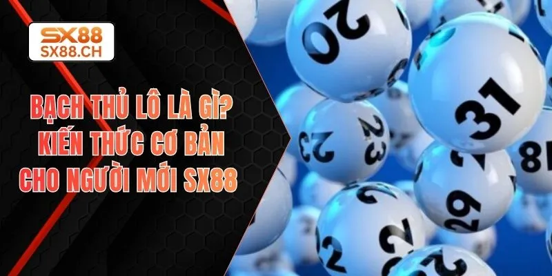 bạch thủ lô là gì