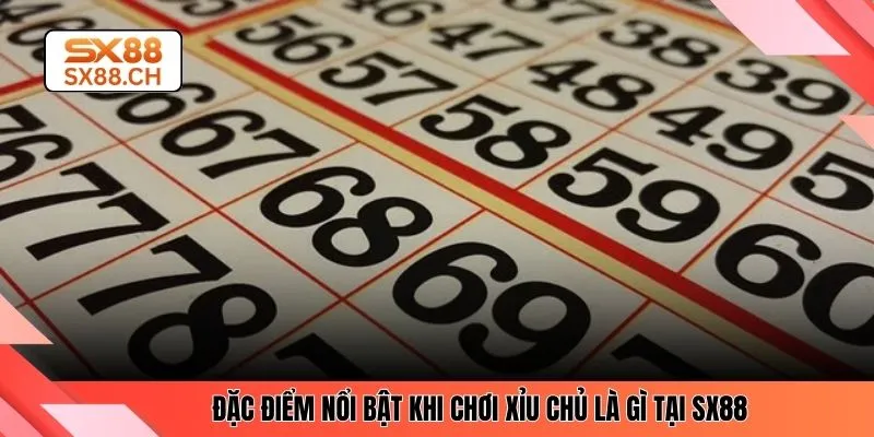 Đặc điểm nổi bật khi chơi xỉu chủ là gì tại SX88