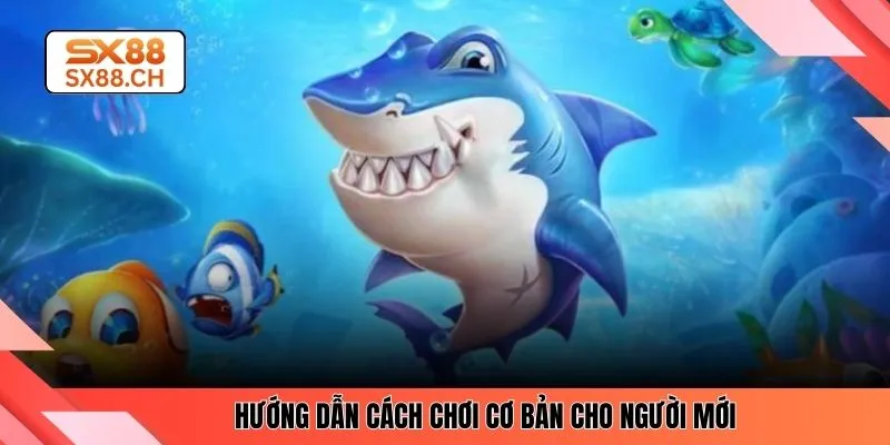 Hướng dẫn cách chơi cơ bản cho người mới 