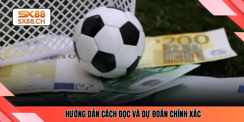 Hướng dẫn cách đọc và dự đoán chính xác
