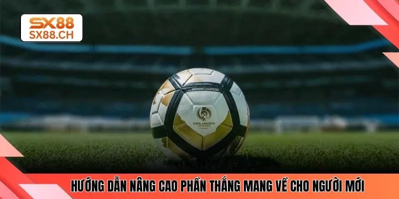 Hướng dẫn nâng cao phần thắng mang về cho người mới 