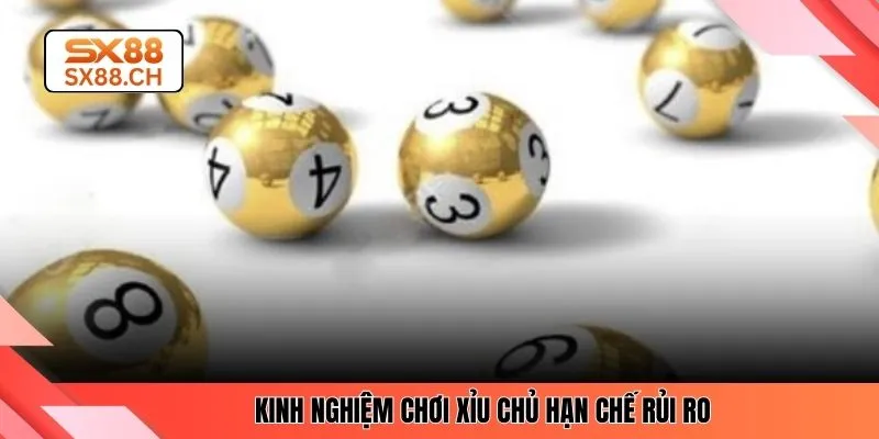 Kinh nghiệm chơi xỉu chủ hạn chế rủi ro